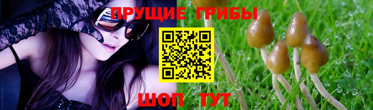 Галлюциногенные грибы Magic Shrooms  Вход с VPN  Карпинск 